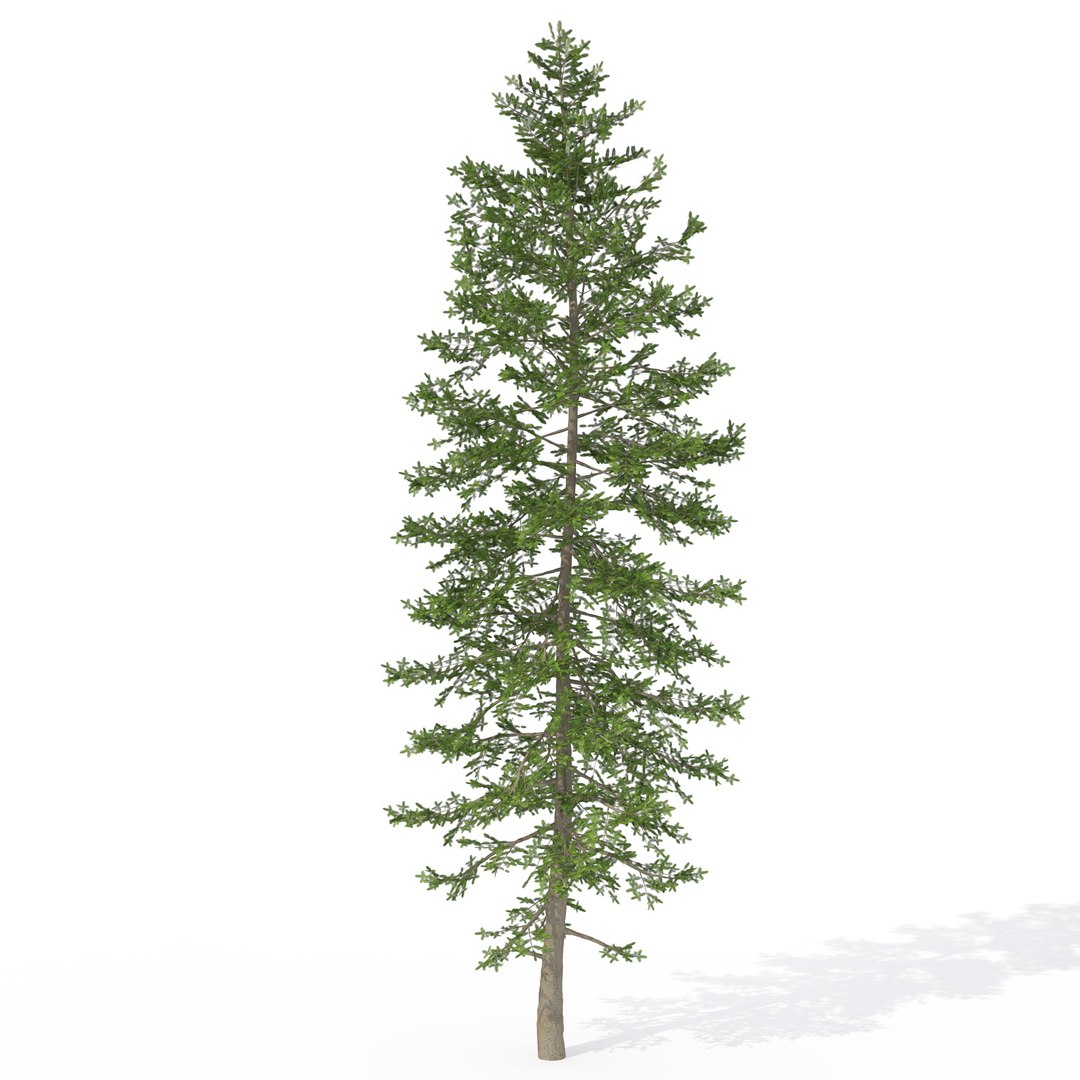 3ds max japanese trees japan dvd https://p.turbosquid.com/ts-thumb/PE/pMyrQG/nlFOPt5o/ja01anikkofir/jpg/1463524197/1920x1080/fit_q87/df0aa9750507947965c38f10992fcd8307dae5bf/ja01anikkofir.jpg