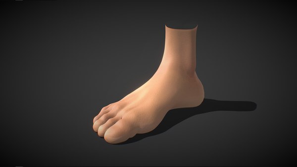 Fit Male Anatomy - Foot base mesh 3D