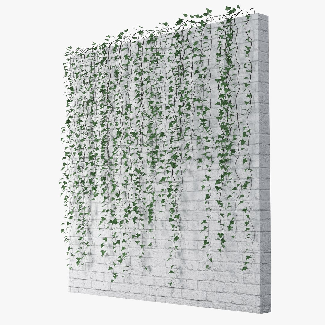 ivy plant vine 3D model https://p.turbosquid.com/ts-thumb/PE/ylNrvv/8EgxhwuH/pr_03/jpg/1566226166/1920x1080/fit_q87/63d39cf7803d8ba722b54b5a28e4508944a44029/pr_03.jpg