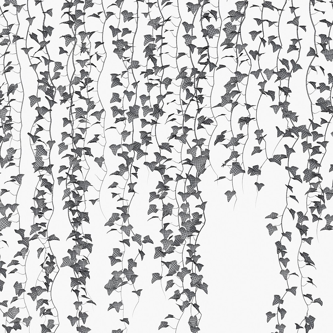 ivy plant vine 3D model https://p.turbosquid.com/ts-thumb/PE/ylNrvv/8zIxHOIM/pr_09w/jpg/1566226166/1920x1080/fit_q87/0f2a97c1087ac3234b7fdb22e9455406cff193f8/pr_09w.jpg