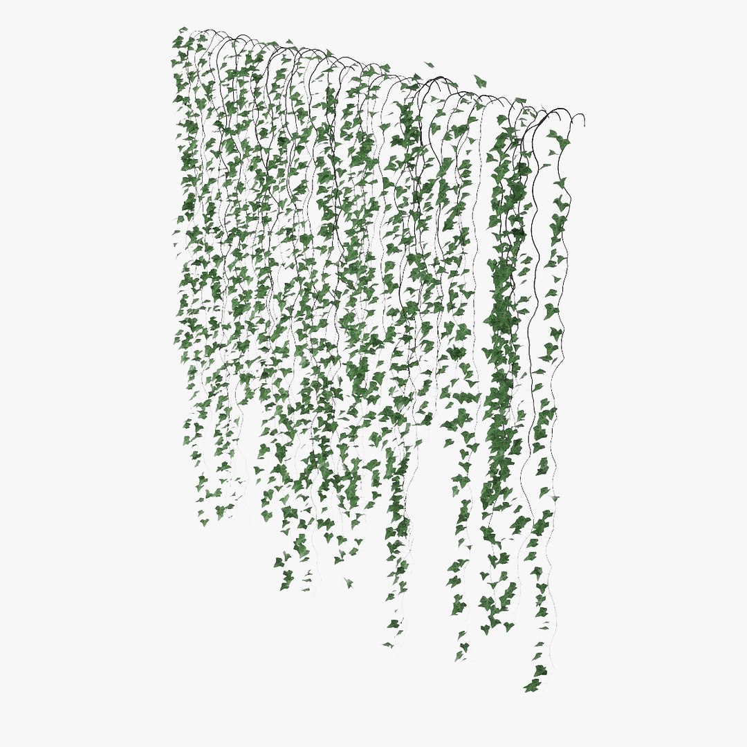 ivy plant vine 3D model https://p.turbosquid.com/ts-thumb/PE/ylNrvv/NAT2BfFt/pr_05/jpg/1566226166/1920x1080/fit_q87/1e7f47bb213a6b6ceb87ab5dc4ad5f49a75f2f22/pr_05.jpg