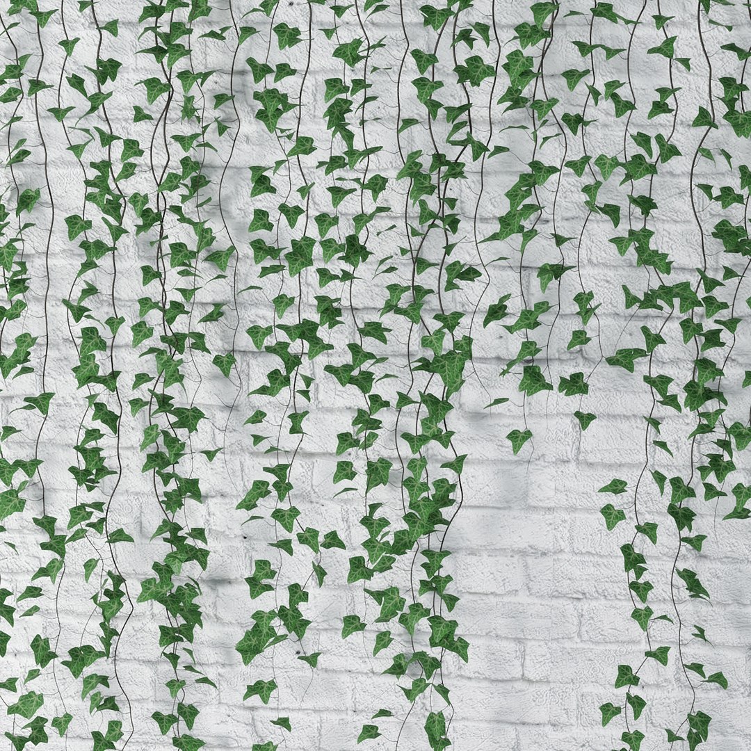 ivy plant vine 3D model https://p.turbosquid.com/ts-thumb/PE/ylNrvv/TwPaQ5AI/pr_09x/jpg/1566226166/1920x1080/fit_q87/6f56a0f63efe49b8ae094f9723e4d469043056b9/pr_09x.jpg