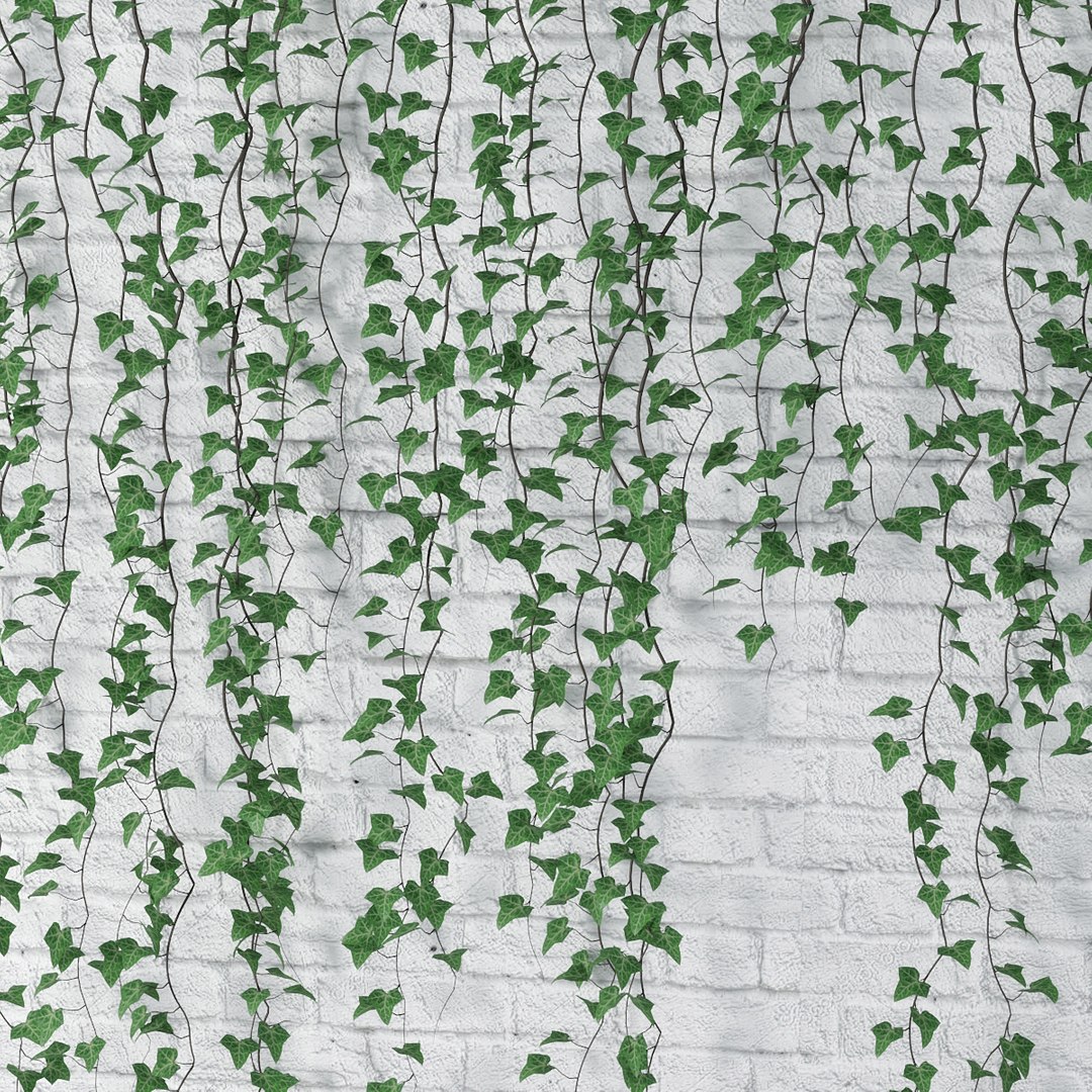 ivy plant vine 3D model https://p.turbosquid.com/ts-thumb/PE/ylNrvv/WT5mm6ne/pr_09/jpg/1566226166/1920x1080/fit_q87/619e0298f5e1cd348d116255be8987940db8e8d2/pr_09.jpg