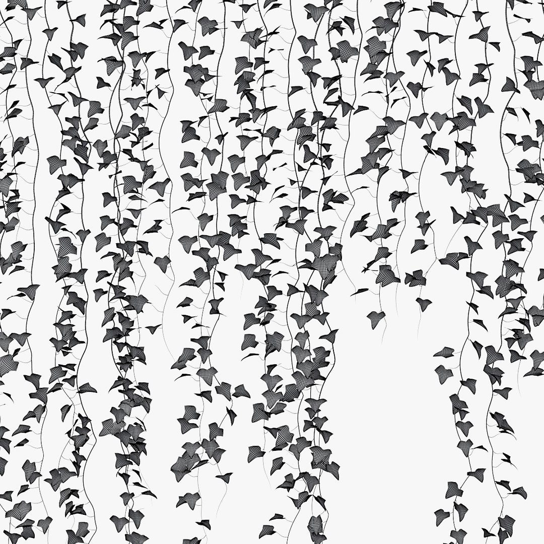 ivy plant vine 3D model https://p.turbosquid.com/ts-thumb/PE/ylNrvv/XztrufaC/pr_09xw/jpg/1566226166/1920x1080/fit_q87/01c9f10c3186ff178b66c4ccb9f549a1c987042a/pr_09xw.jpg