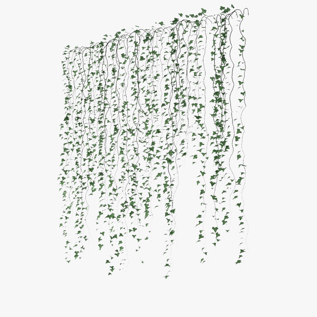 ivy plant vine 3D model https://p.turbosquid.com/ts-thumb/PE/ylNrvv/aoQdotoJ/pr_04/jpg/1566226166/1920x1080/fit_q87/d1f01dc2aa295d7b97fd8d4cb7dbbc89ed673d0f/pr_04.jpg