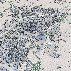 San Antonio City Texas United States Map 3D Model