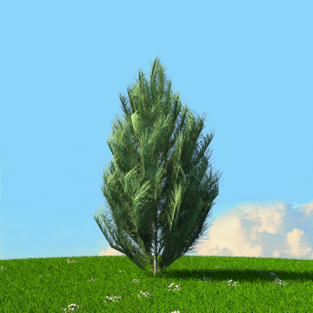 Trees Spring 2 3D Model - TurboSquid 1655003