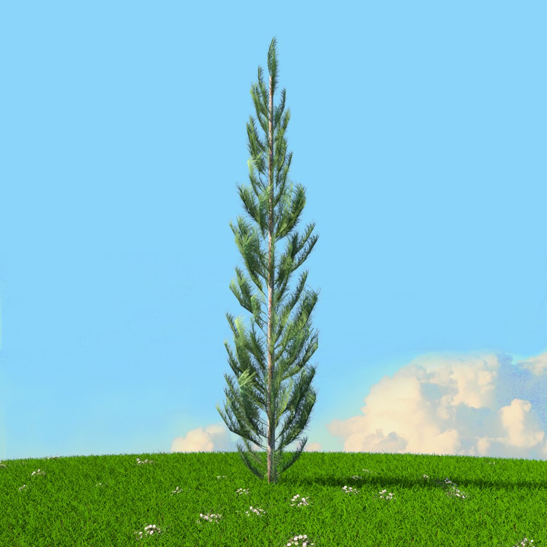 Trees Spring 2 3D Model - TurboSquid 1655003
