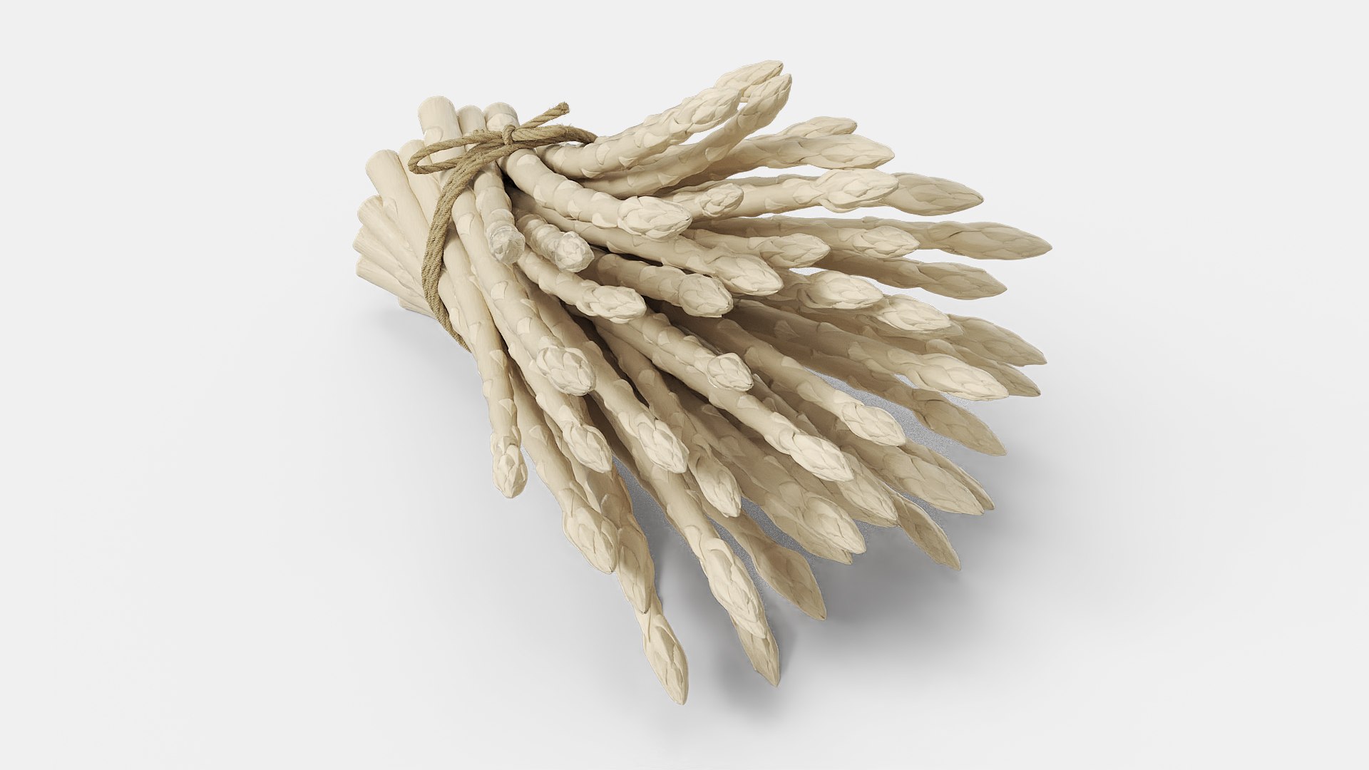 Bundle of Fresh White Asparagus Wrapped in Jute Fur 3D model preview