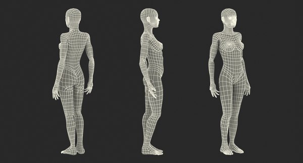 Anatomy female muscular 3D model - TurboSquid 1257288