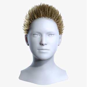 Modern Curly Crop Hairstyle 3D Model 3D