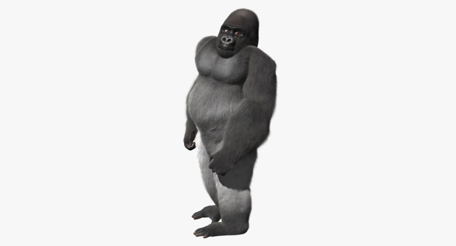 3d model gorilla shave haircut https://p.turbosquid.com/ts-thumb/PF/PN8q07/2X4Jbgzt/rp03/jpg/1478091098/1920x1080/fit_q87/3a94d22faed181c4d976962c5bd18f8e3450f3a5/rp03.jpg