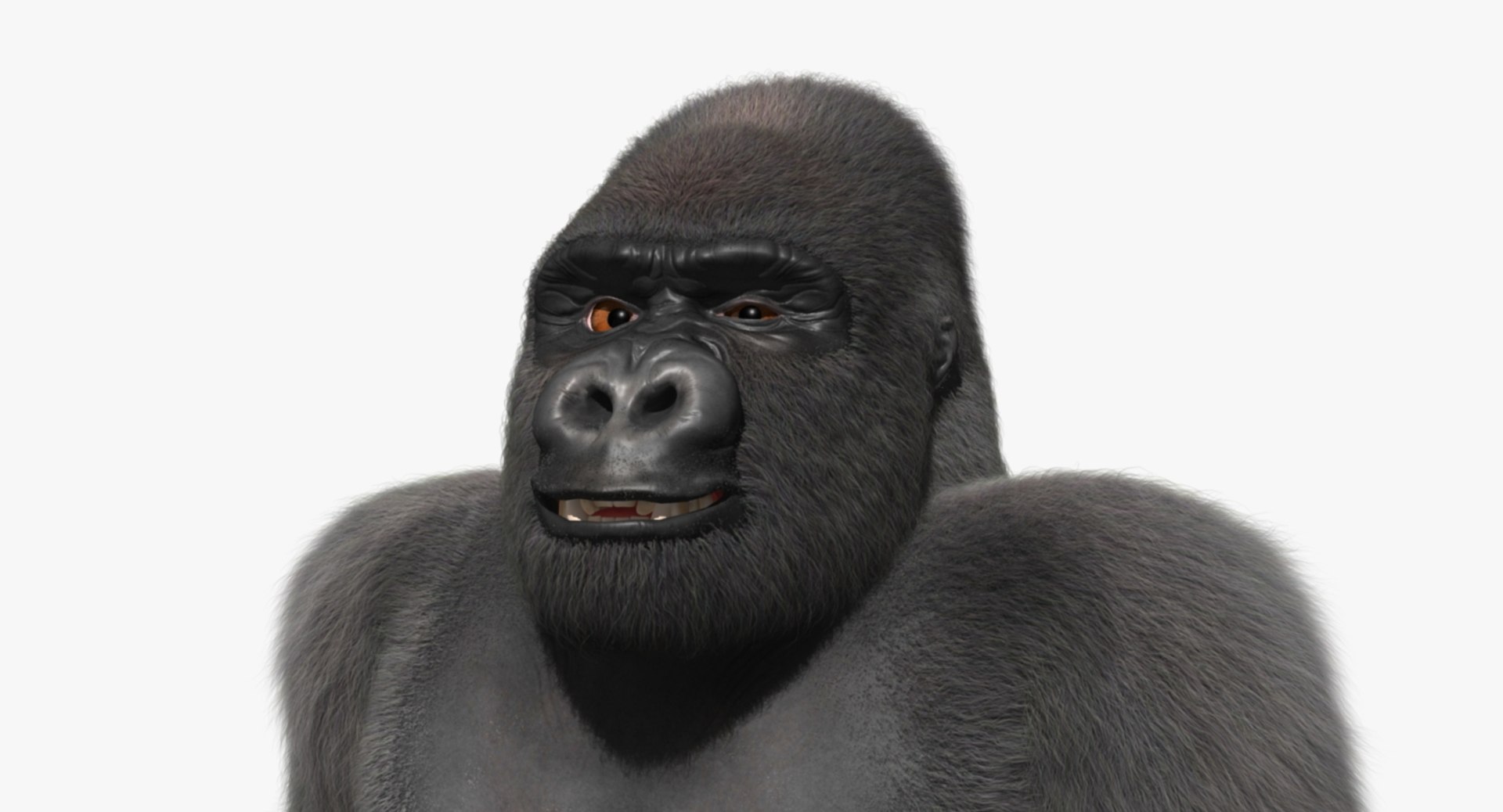 3d model gorilla shave haircut https://p.turbosquid.com/ts-thumb/PF/PN8q07/7Jyvfpl8/rp06/jpg/1478091098/1920x1080/fit_q87/7046e998c1291f1432786c4dda94c6d85b62b214/rp06.jpg