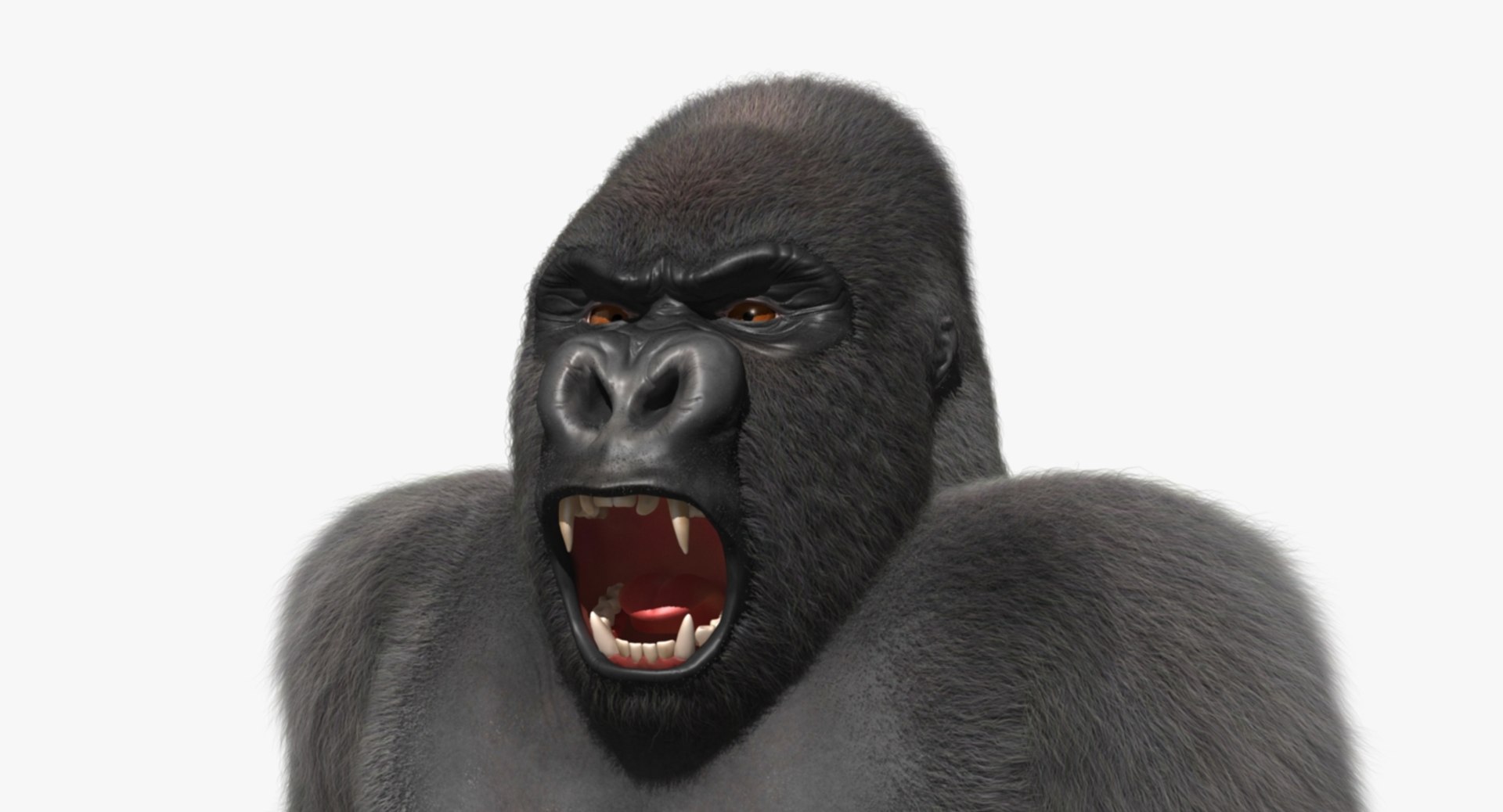 3d model gorilla shave haircut https://p.turbosquid.com/ts-thumb/PF/PN8q07/LixWEvRX/rp05/jpg/1478091098/1920x1080/fit_q87/5ebeb2a5781d46b0c7259a96e9f2014d5da910b8/rp05.jpg