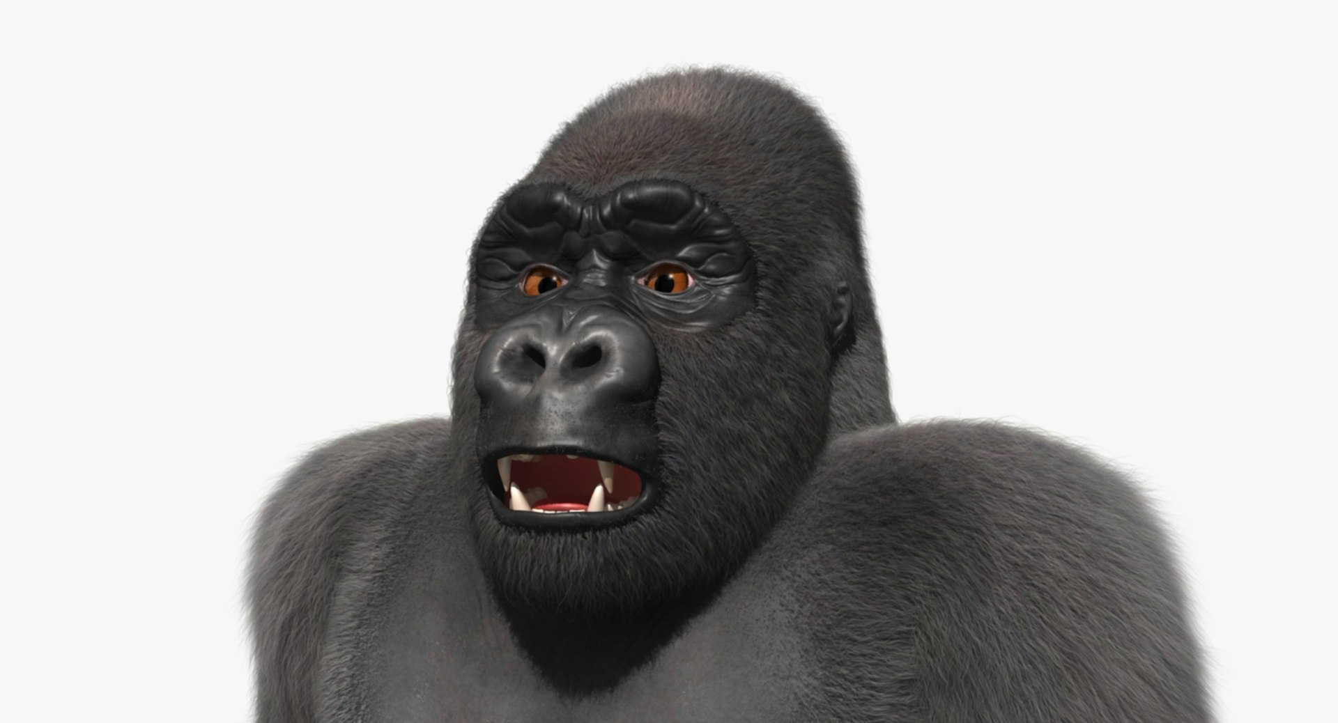 3d model gorilla shave haircut https://p.turbosquid.com/ts-thumb/PF/PN8q07/MqKGvptp/rp04/jpg/1478091098/1920x1080/fit_q87/0f5d85f4f10bfa442c1df0d77650b43324ae6c4a/rp04.jpg