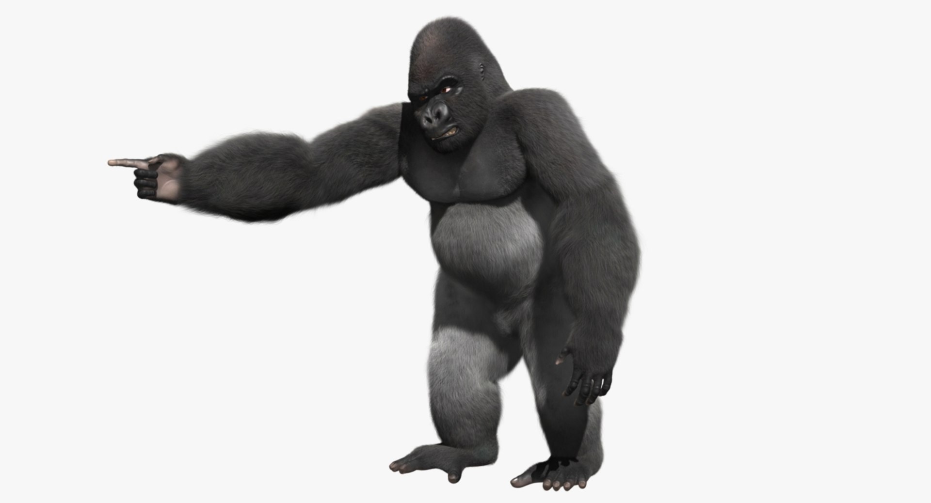 3d model gorilla shave haircut https://p.turbosquid.com/ts-thumb/PF/PN8q07/QmET0c2p/rp01/jpg/1478104315/1920x1080/fit_q87/20bed86b529a6e52d7bc67e695b43a7c80b46f79/rp01.jpg