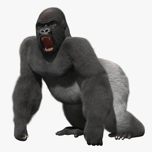 3d model gorilla shave haircut