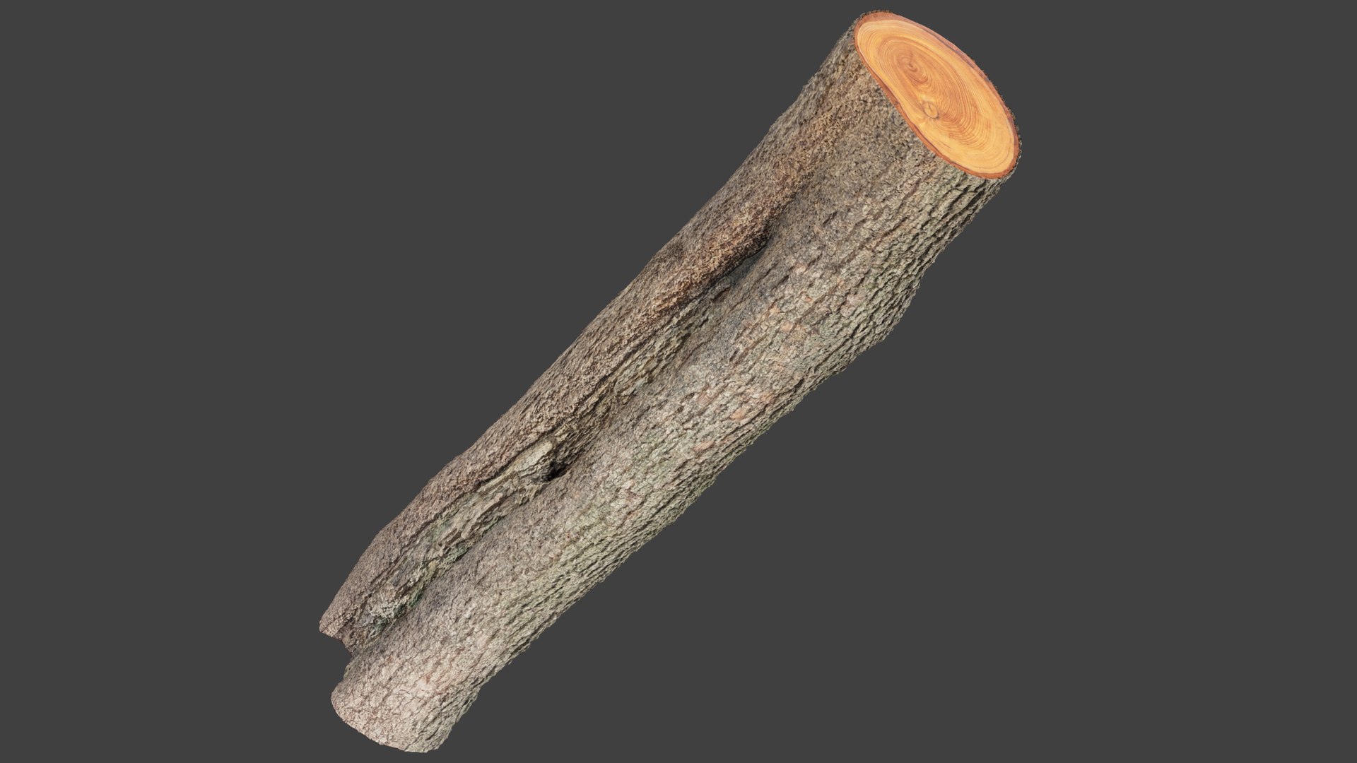 3D Logs Collection V3 https://p.turbosquid.com/ts-thumb/PF/T1OVEA/1k/log1_002/png/1691972790/1920x1080/fit_q87/5a7f32b1d51aa2d3d020724499c88bc81c598fa6/log1_002.jpg