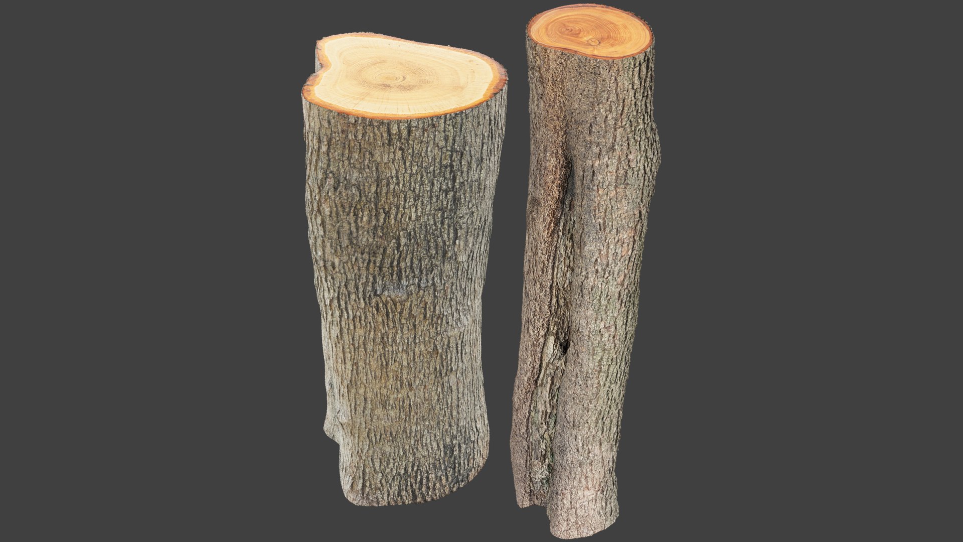 3D Logs Collection V3 https://p.turbosquid.com/ts-thumb/PF/T1OVEA/3k/logc3_003/png/1691972761/1920x1080/fit_q87/26f4b14de94b82f6a0c8ed1561e034f5f626de62/logc3_003.jpg