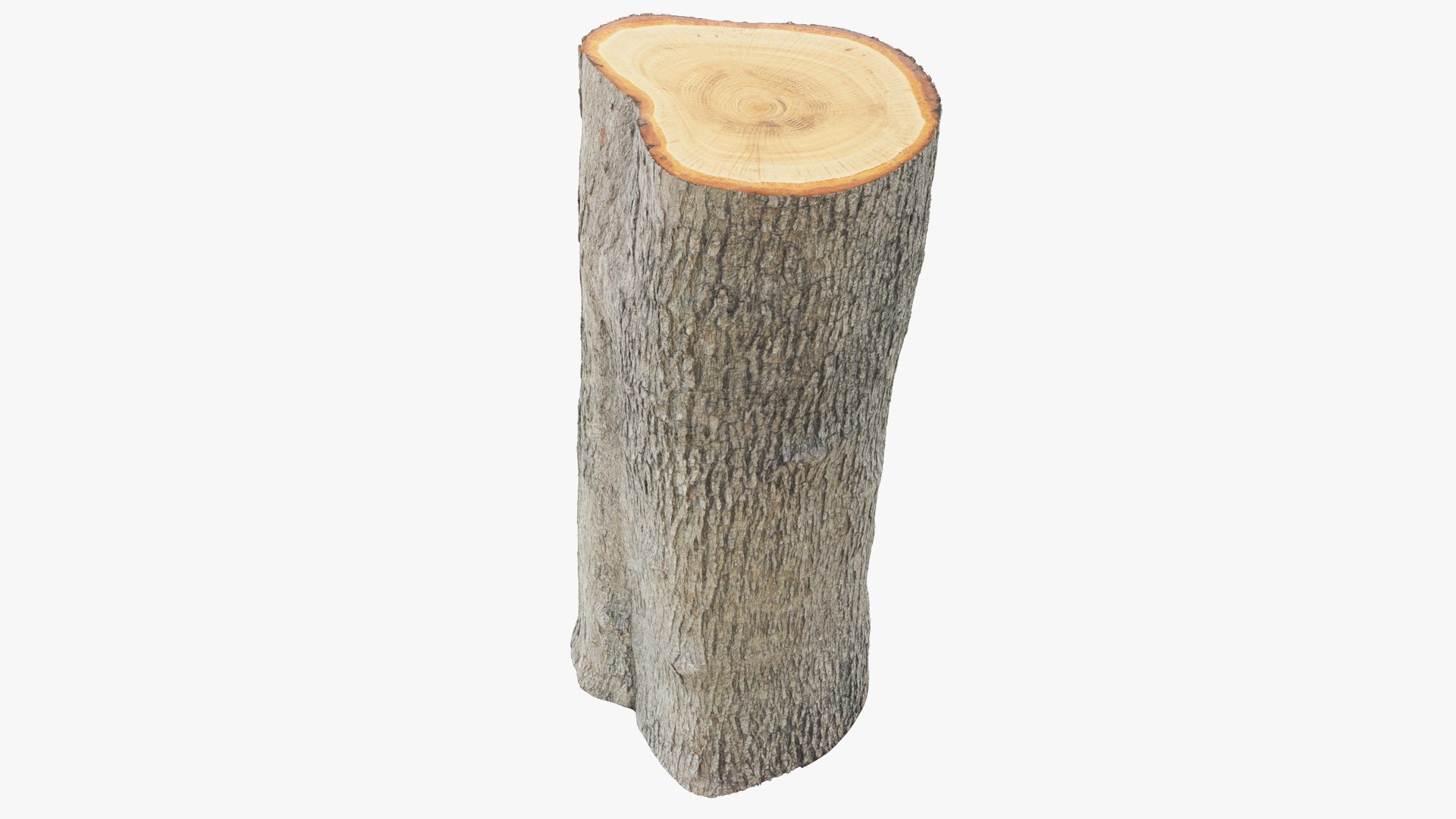3D Logs Collection V3 https://p.turbosquid.com/ts-thumb/PF/T1OVEA/Iq/log2_004_010/png/1691972950/1920x1080/fit_q87/af09dbf1ad71098722e67b17e9ad30bec4ceff50/log2_004_010.jpg