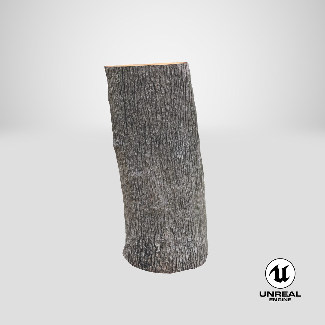 3D Logs Collection V3 https://p.turbosquid.com/ts-thumb/PF/T1OVEA/MK/stemcell_unreal_render/png/1692140003/1920x1080/fit_q87/b7f486c911c06c92a6a54e129ee7ae92f10a85da/stemcell_unreal_render.jpg