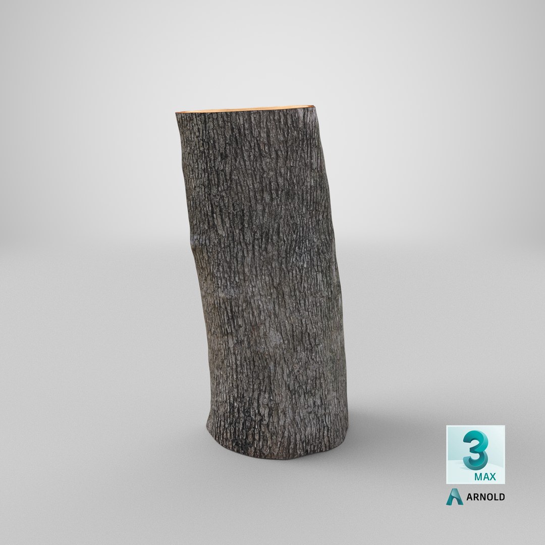 3D Logs Collection V3 https://p.turbosquid.com/ts-thumb/PF/T1OVEA/hY/stemcell_max_arnold_render/png/1692140001/1920x1080/fit_q87/6019482cce23650cdaa9f87243c73184ca3370a4/stemcell_max_arnold_render.jpg