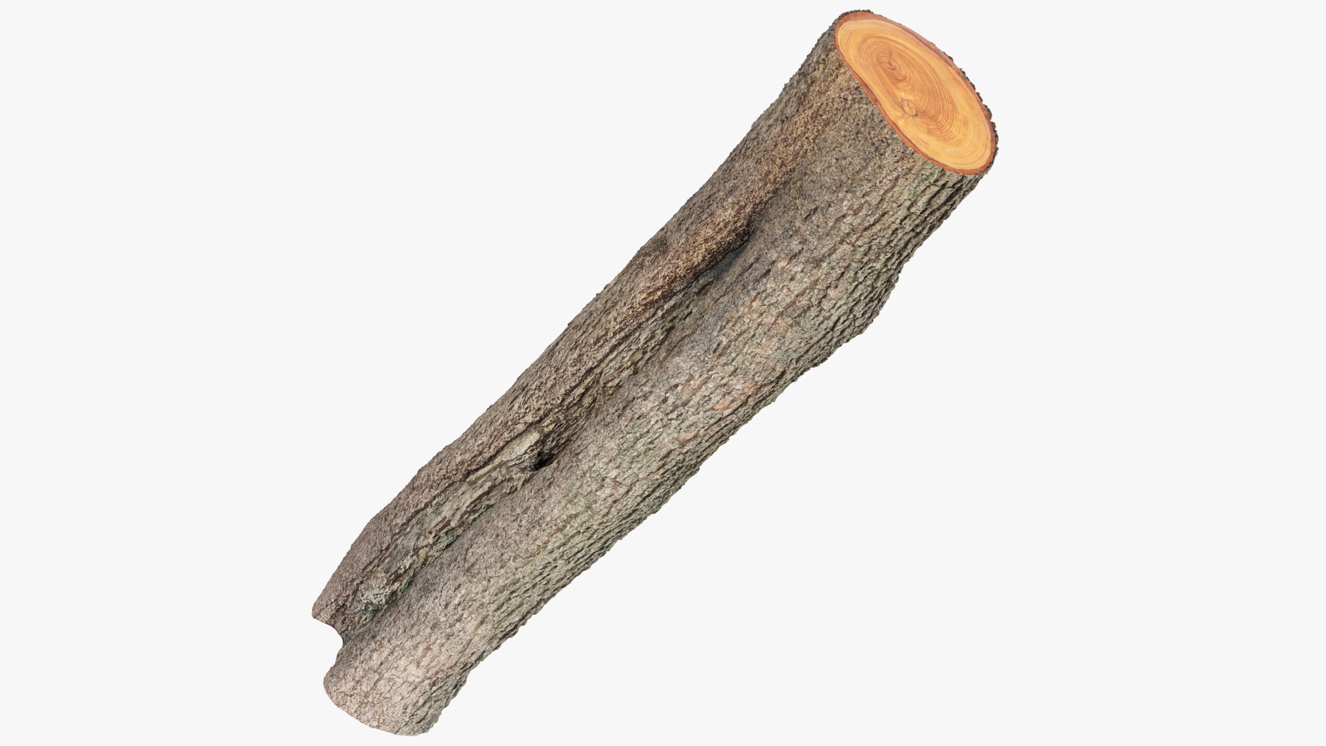3D Logs Collection V3 https://p.turbosquid.com/ts-thumb/PF/T1OVEA/o5/log1_001/png/1691972802/1920x1080/fit_q87/81359ae1a3c86f737e445c9be5856f95fdea3aa7/log1_001.jpg