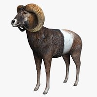 Muflon