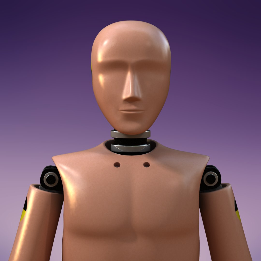 Crash Test Dummy 3d Model