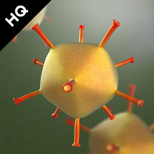 adenovirus virus 3d max