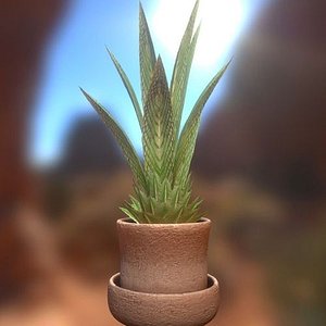 indoor plant 3d 3ds