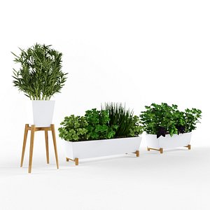 3D plant decoration nature model