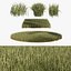 High Ryegrass grass 3D model
