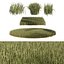 High Ryegrass grass 3D model