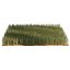 High Ryegrass grass 3D model