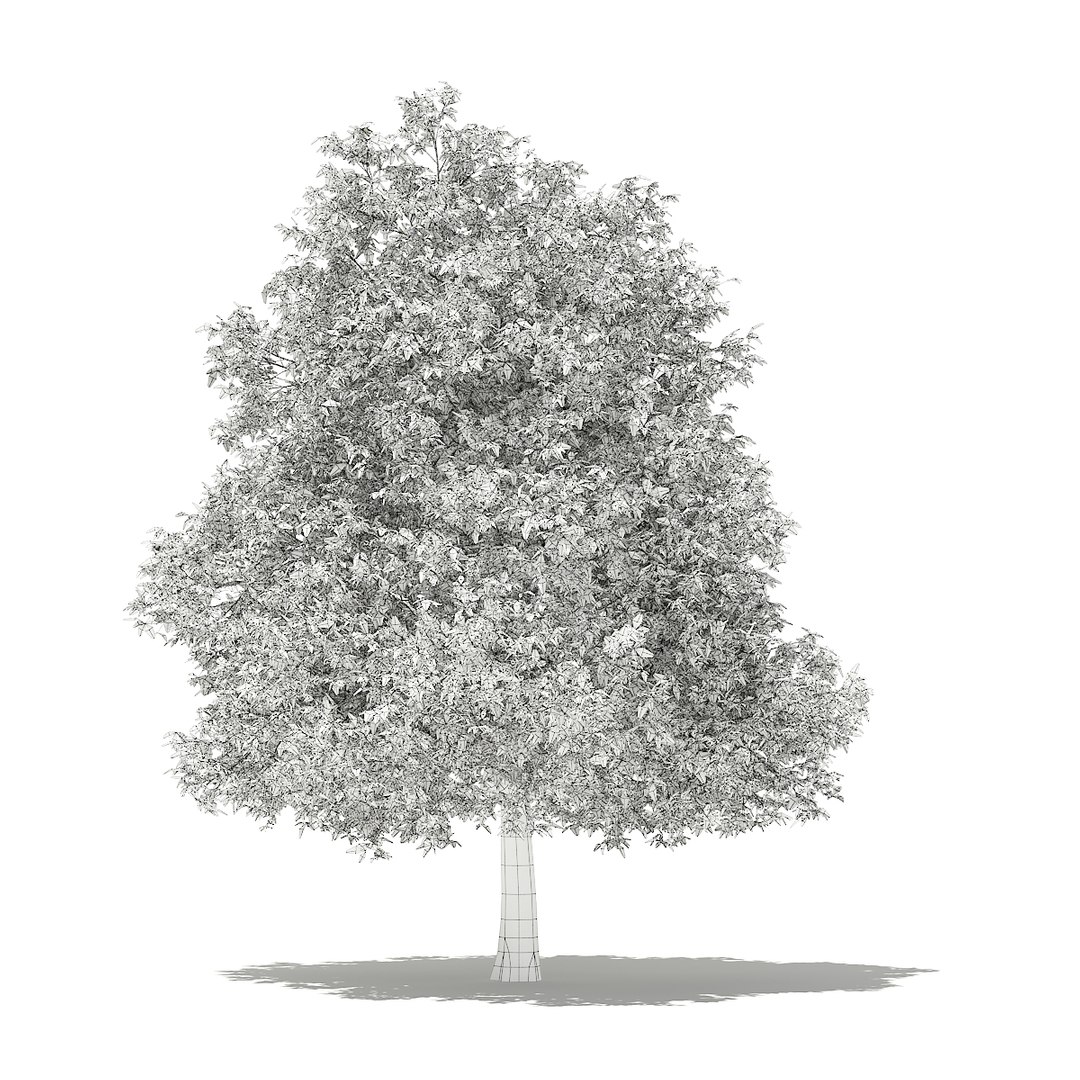 3D fruit trees volume 105 https://p.turbosquid.com/ts-thumb/PG/LIpBge/0pbbBlAP/cgaxis_models_105_0700grid/jpg/1533498033/1920x1080/fit_q87/38c9ef2df04d0d72cfa1832b9ea3faa2919699d3/cgaxis_models_105_0700grid.jpg