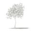 CGAxis Models Volume 105 - Fruit Trees Unreal Engine