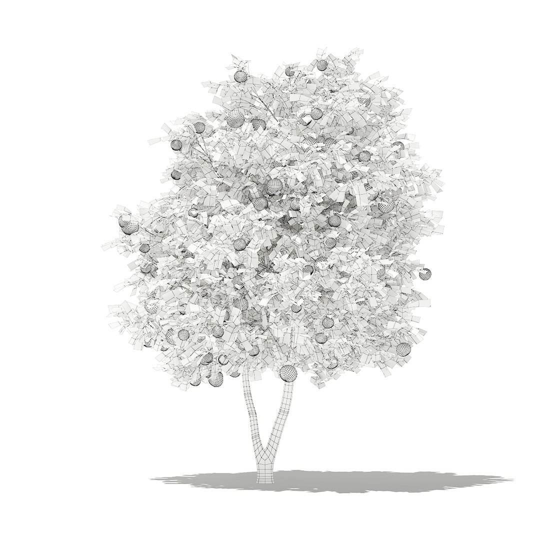 3D fruit trees volume 105 https://p.turbosquid.com/ts-thumb/PG/LIpBge/1z6vIoEW/cgaxis_models_105_2600grid/jpg/1533498033/1920x1080/fit_q87/24c036a5d1a943acac50a80f2204e0f3b4aed9c3/cgaxis_models_105_2600grid.jpg