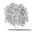 CGAxis Models Volume 105 - Fruit Trees Unreal Engine