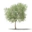 CGAxis Models Volume 105 - Fruit Trees Unreal Engine