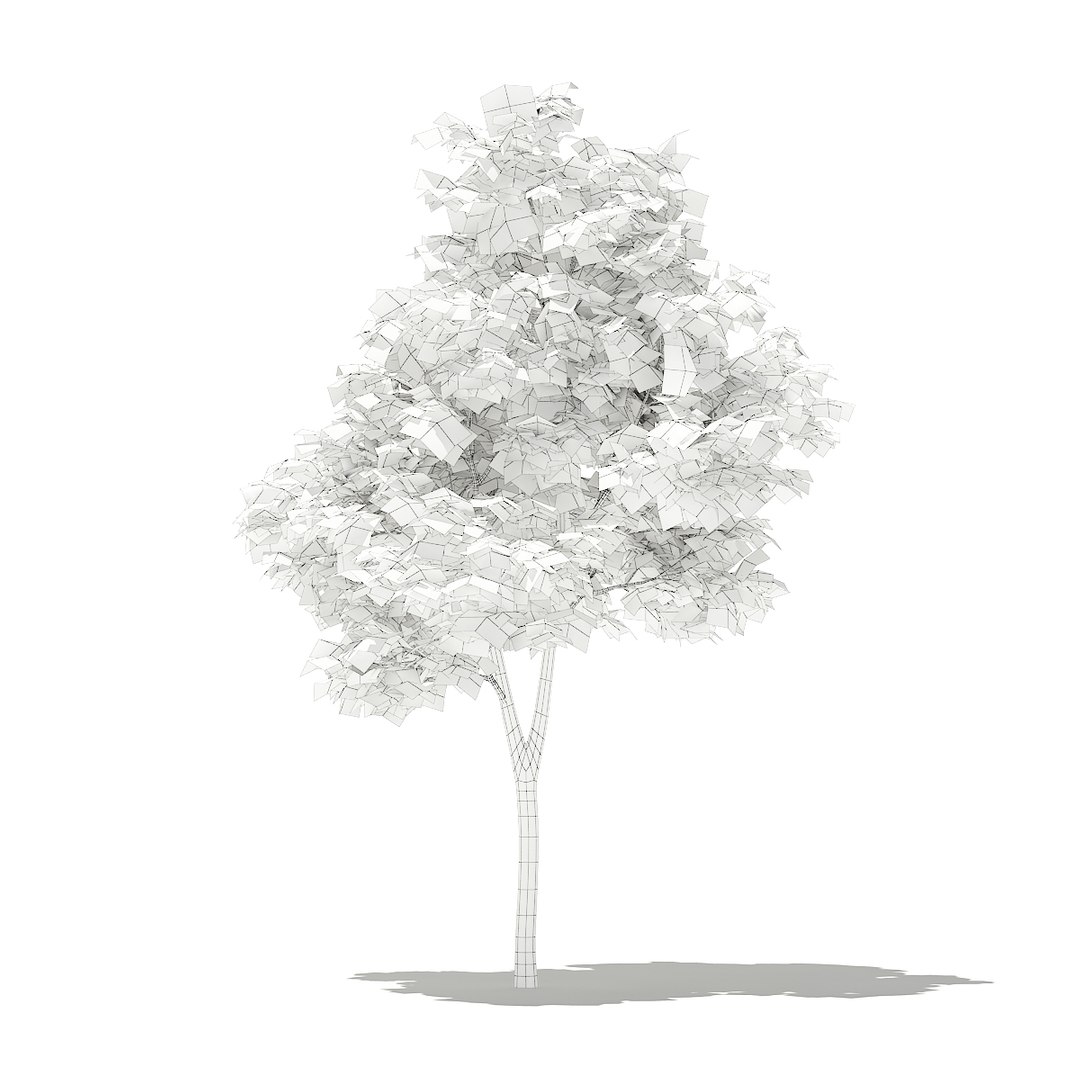 3D fruit trees volume 105 https://p.turbosquid.com/ts-thumb/PG/LIpBge/AEKhWTtR/cgaxis_models_105_3100grid/jpg/1533498034/1920x1080/fit_q87/21b348a4ca8b946646b090fb2ebe3c671f1d391e/cgaxis_models_105_3100grid.jpg