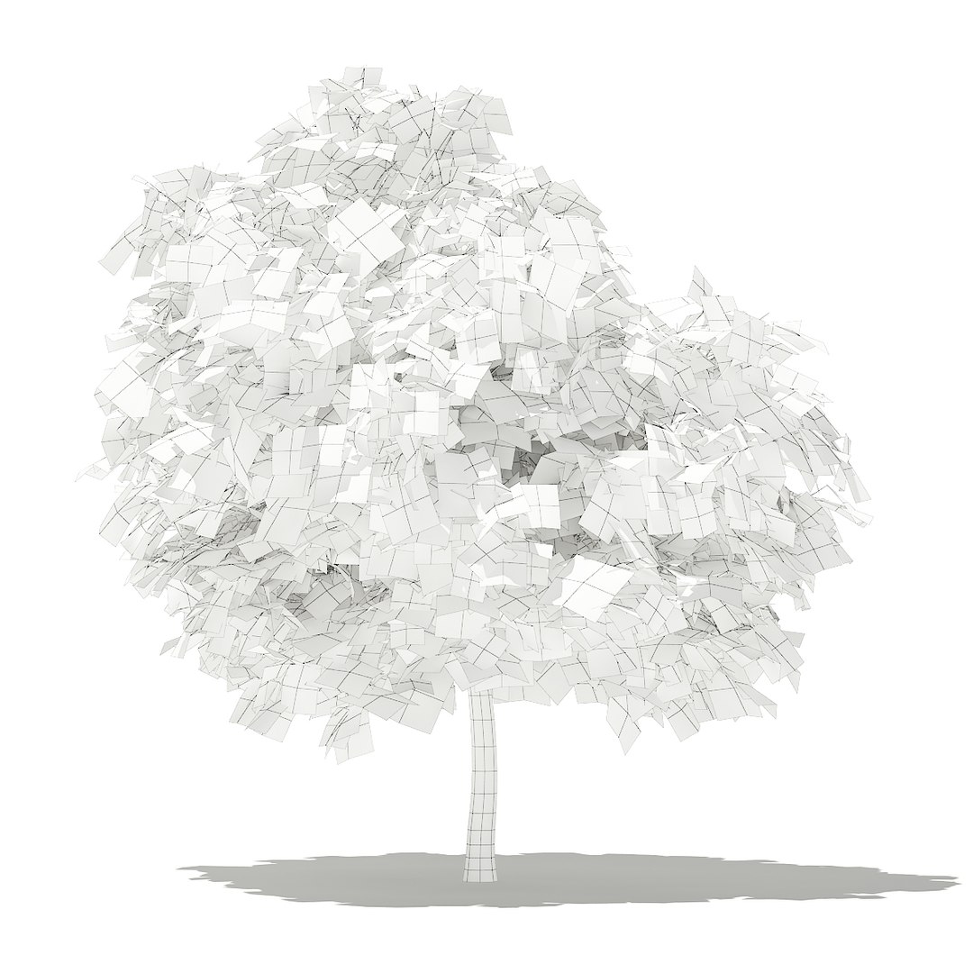 3D fruit trees volume 105 https://p.turbosquid.com/ts-thumb/PG/LIpBge/B5b8Xu5E/cgaxis_models_105_4300grid/jpg/1533498034/1920x1080/fit_q87/3defb807bc25cac192937e5ad6dba7930cc84de9/cgaxis_models_105_4300grid.jpg