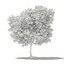 CGAxis Models Volume 105 - Fruit Trees Unreal Engine