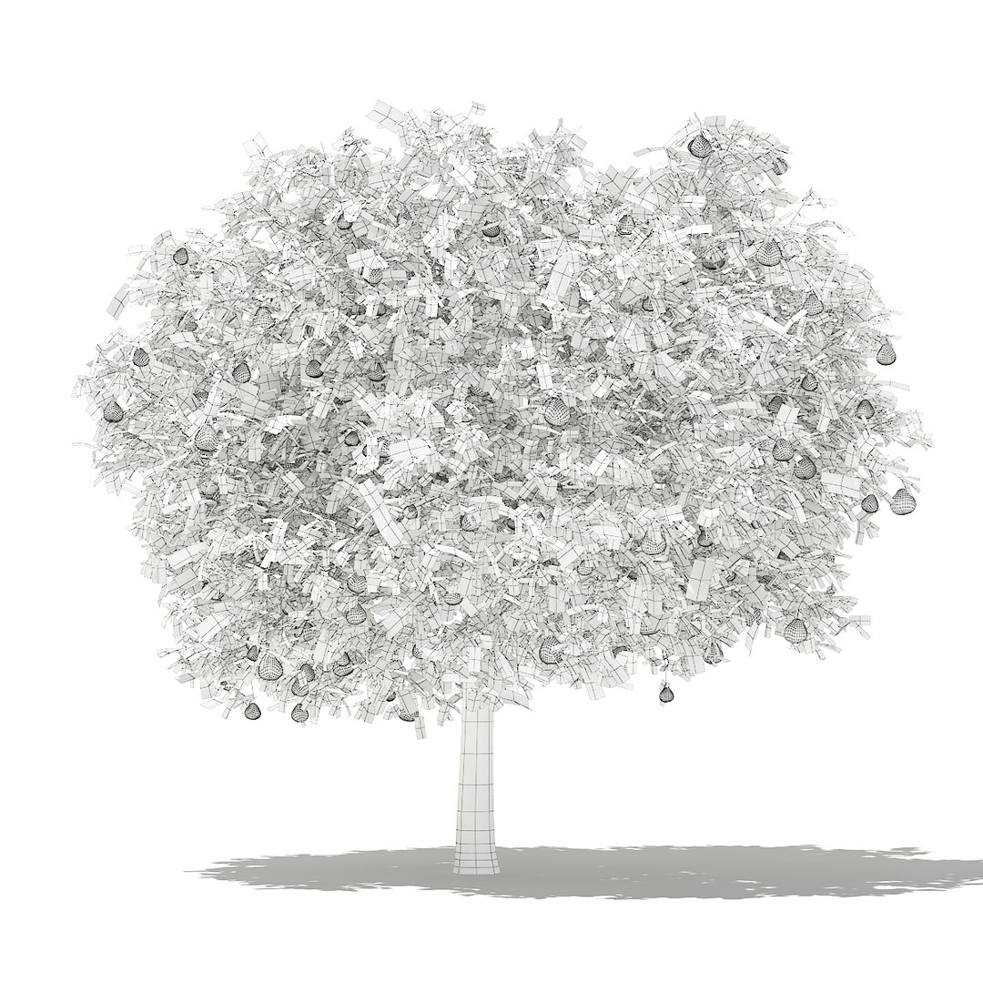 3D fruit trees volume 105 https://p.turbosquid.com/ts-thumb/PG/LIpBge/FmaE3opP/cgaxis_models_105_5600grid/jpg/1533498035/1920x1080/fit_q87/5771e0799348220e21fdfb0761e7de86fc663c45/cgaxis_models_105_5600grid.jpg