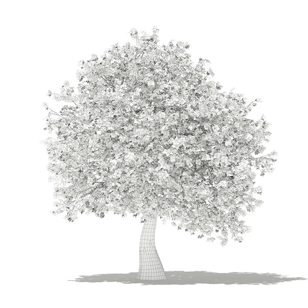 3D fruit trees volume 105 https://p.turbosquid.com/ts-thumb/PG/LIpBge/GOCNhziR/cgaxis_models_105_4000grid/jpg/1533498034/1920x1080/fit_q87/44ee74f097f5a3c5af6379800eb1a09c05ce2a49/cgaxis_models_105_4000grid.jpg