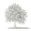 CGAxis Models Volume 105 - Fruit Trees Unreal Engine