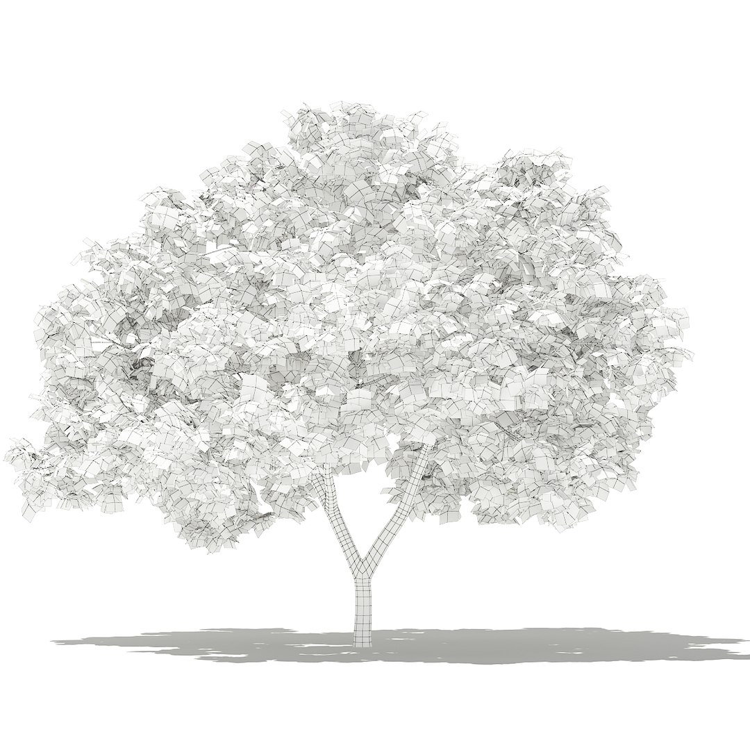 3D fruit trees volume 105 https://p.turbosquid.com/ts-thumb/PG/LIpBge/GyprZ6mA/cgaxis_models_105_1300grid/jpg/1533498033/1920x1080/fit_q87/ba2d6baffebf1d5d447ceb21730018138da7b33a/cgaxis_models_105_1300grid.jpg