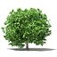 CGAxis Models Volume 105 - Fruit Trees Unreal Engine