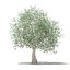 CGAxis Models Volume 105 - Fruit Trees Unreal Engine