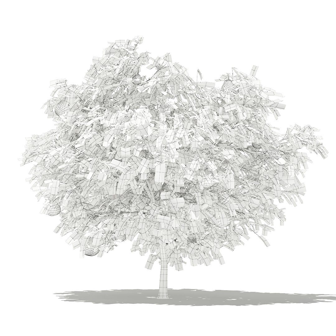 3D fruit trees volume 105 https://p.turbosquid.com/ts-thumb/PG/LIpBge/J6IE2unA/cgaxis_models_105_5200grid/jpg/1533498034/1920x1080/fit_q87/83e0342896fc9ee1cf58638a22348fd56656eea8/cgaxis_models_105_5200grid.jpg